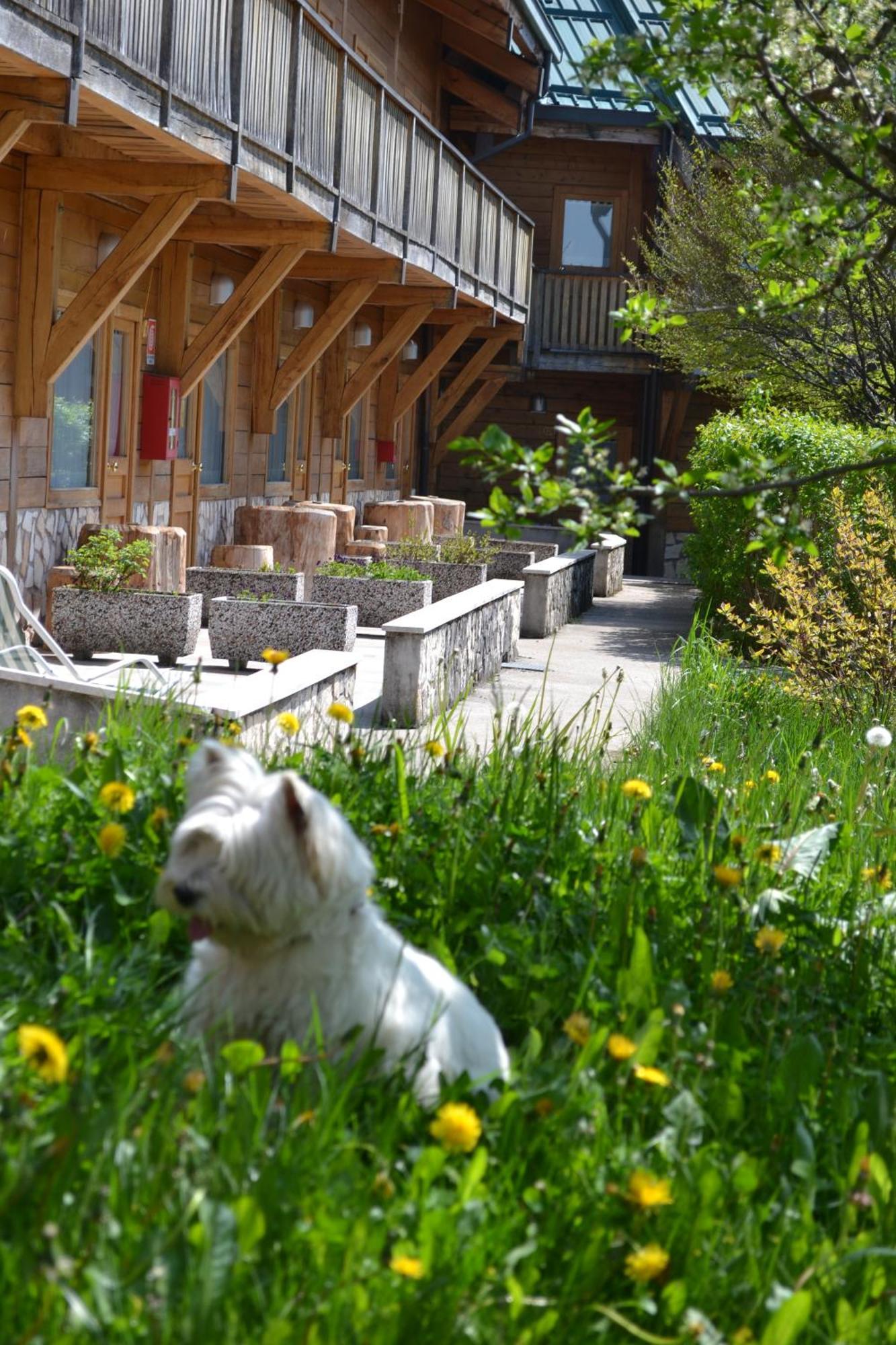 Albergo Rendola Asiago Exterior foto